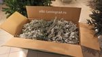 Заснеженная ель с гирляндой «Форесто» холодный свет (Литая+пвх) 120 см / 1,2 м