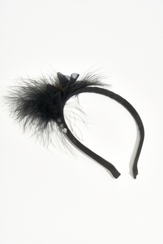 Обруч с пером