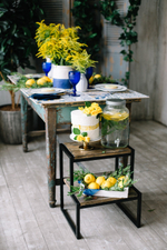 Majolica Photo Day