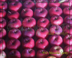 Яблоня Мельба Ред , Мелба Красная,(Melba-red)