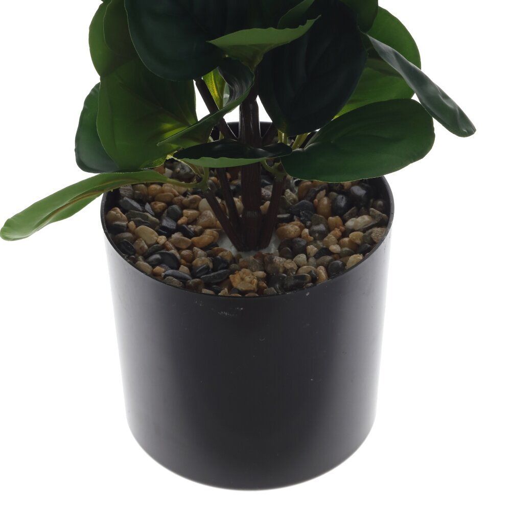 GAEM Цветочная композиция, L15 W15 H62 см