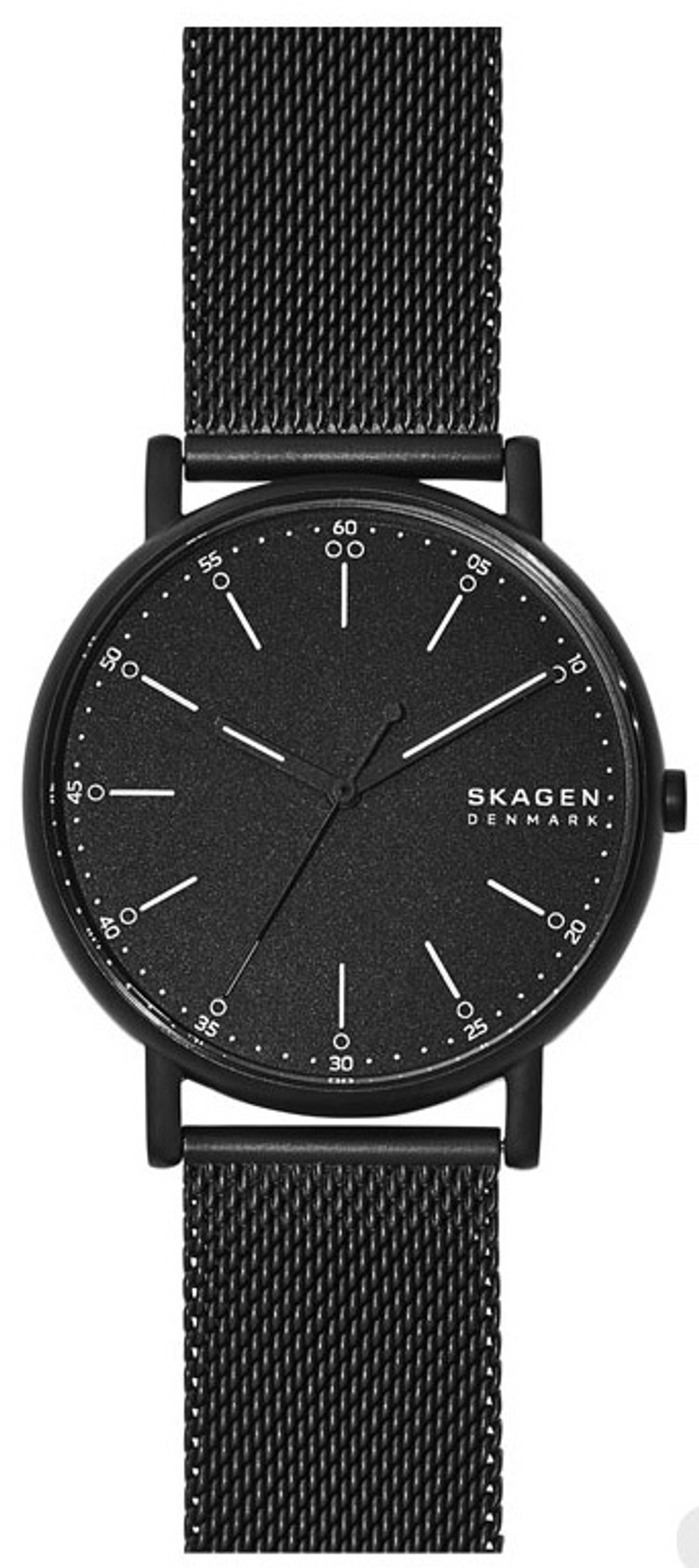 Мужские наручные часы Skagen SKW6579