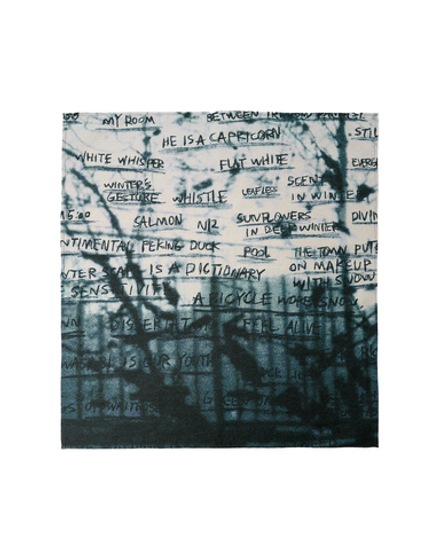 SHINYAKOZUKA ПАЛАНТИН ПРИНТ ДЕКАБРЬ