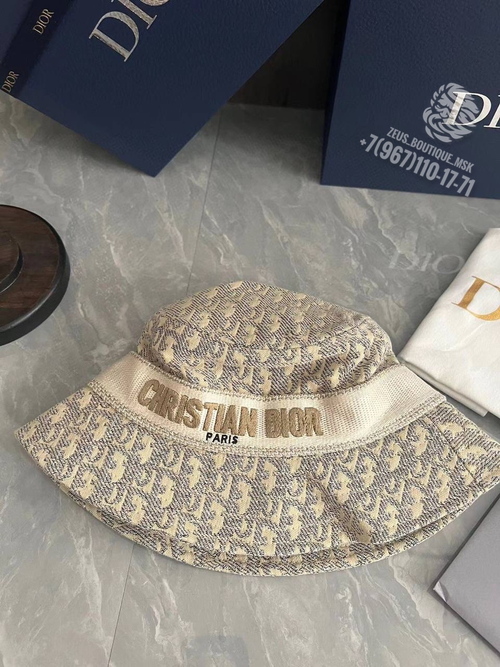 Панама Christian Dior