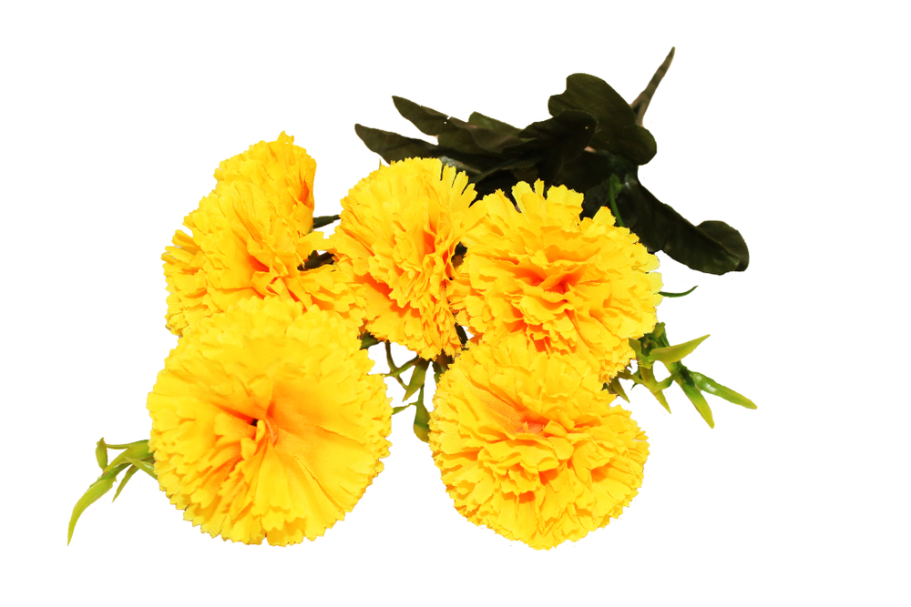 Букет гвоздики с травкой