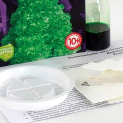 Выращивание кристаллов.Деревья "Зеленая ёлочка"