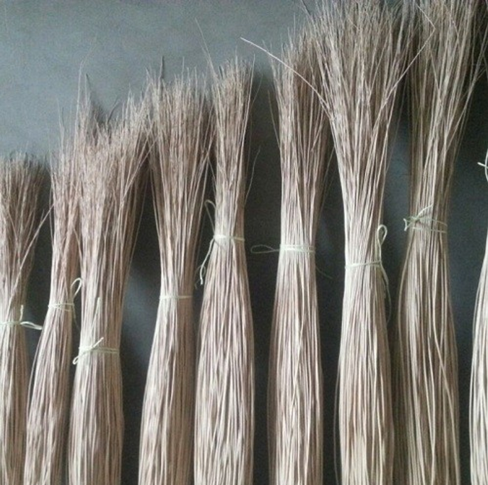 Прут ивовый очищенный Арт№ SP180