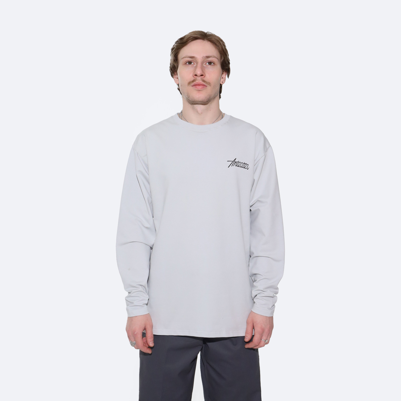 Лонгслив Anteater Phat Long109 (light-grey) артикул: - купить в магазине Дайс