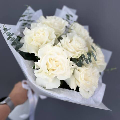 Французские розы Mondial