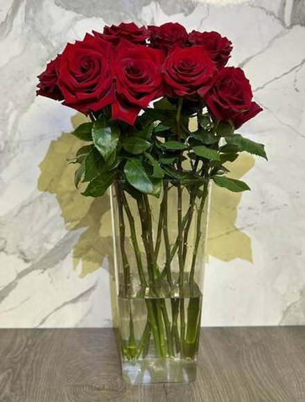 Премиальная эквадорская красная роза Explorer 70 см