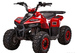 Квадроцикл Yacota Raposa