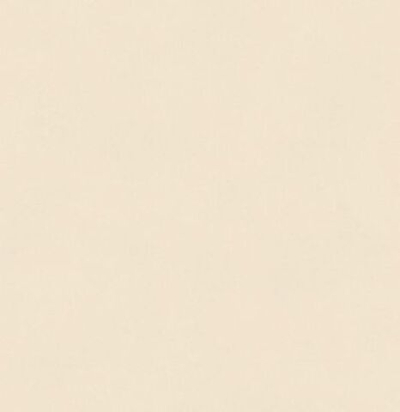 Обои матовые с иммитацией штукатурки BLONE1005