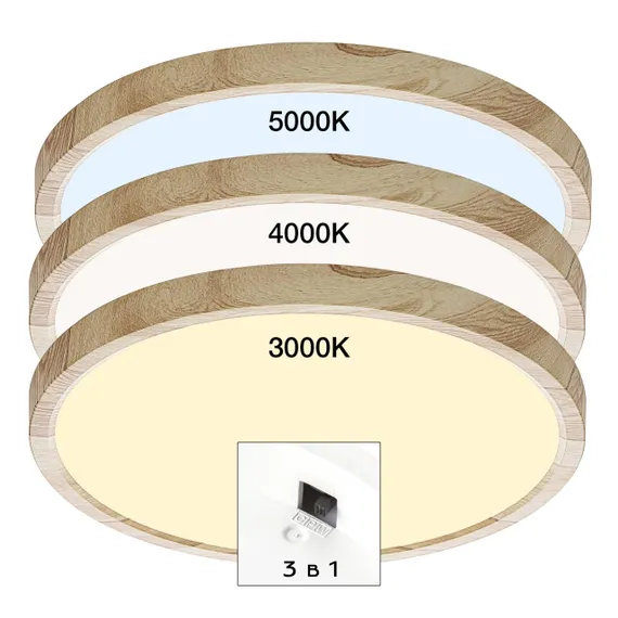 CL738242V Бейсик Клен Св-к Накл. LED 24W*Мульти