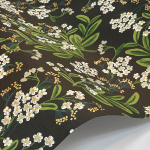 Rifle Paper Co. Second Edition