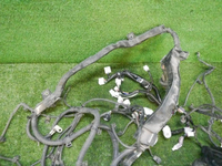 DSCN2315.jpg