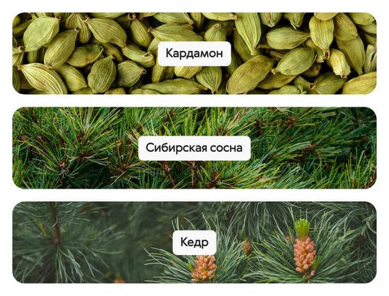L’essence de Taiga, духи-концентрат, 20 мл