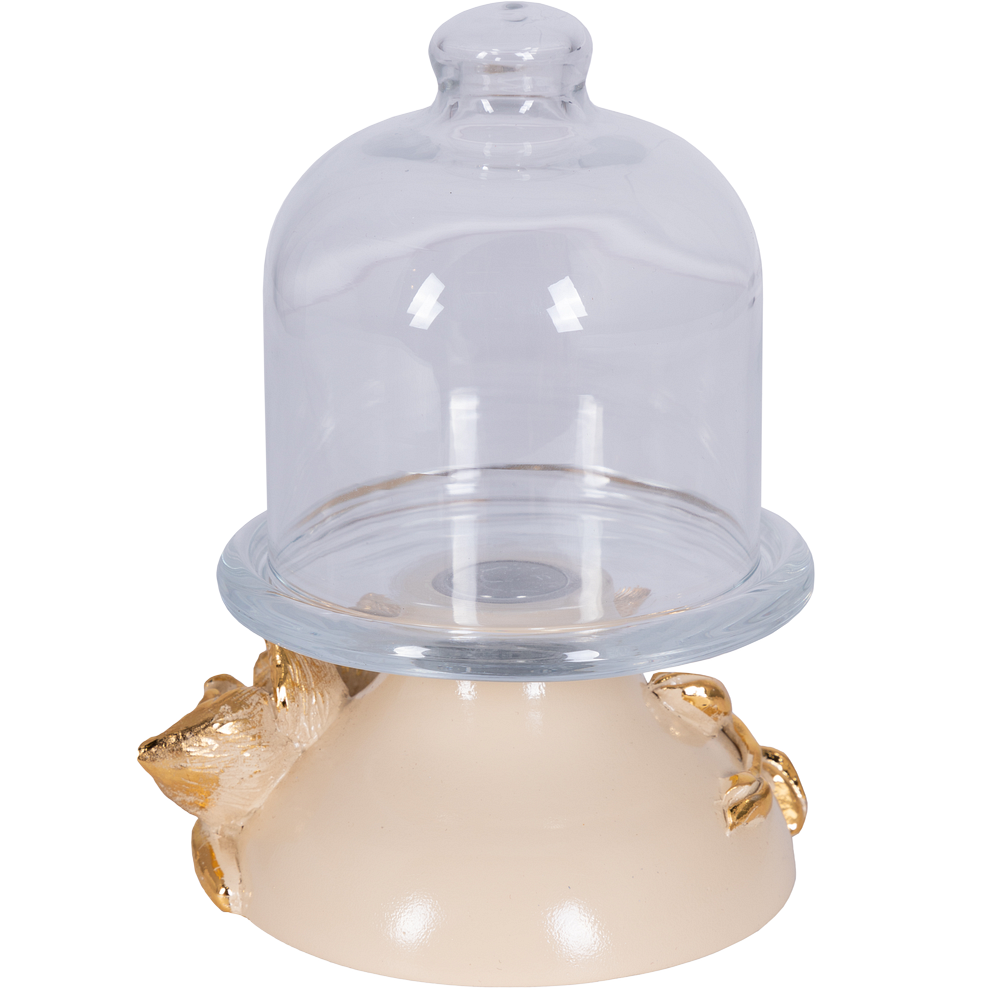 Лимонница Орхидея Лайм Айвори