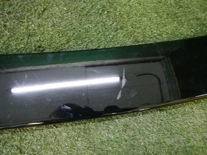 DSCN6805.jpg