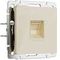 Розетка Werkel Ethernet RJ-45 айвори акрил W1181043 4690389197116