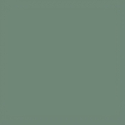 Коляска Carrello Ultimo CRL-6528 2025 2 в 1 Fern Green