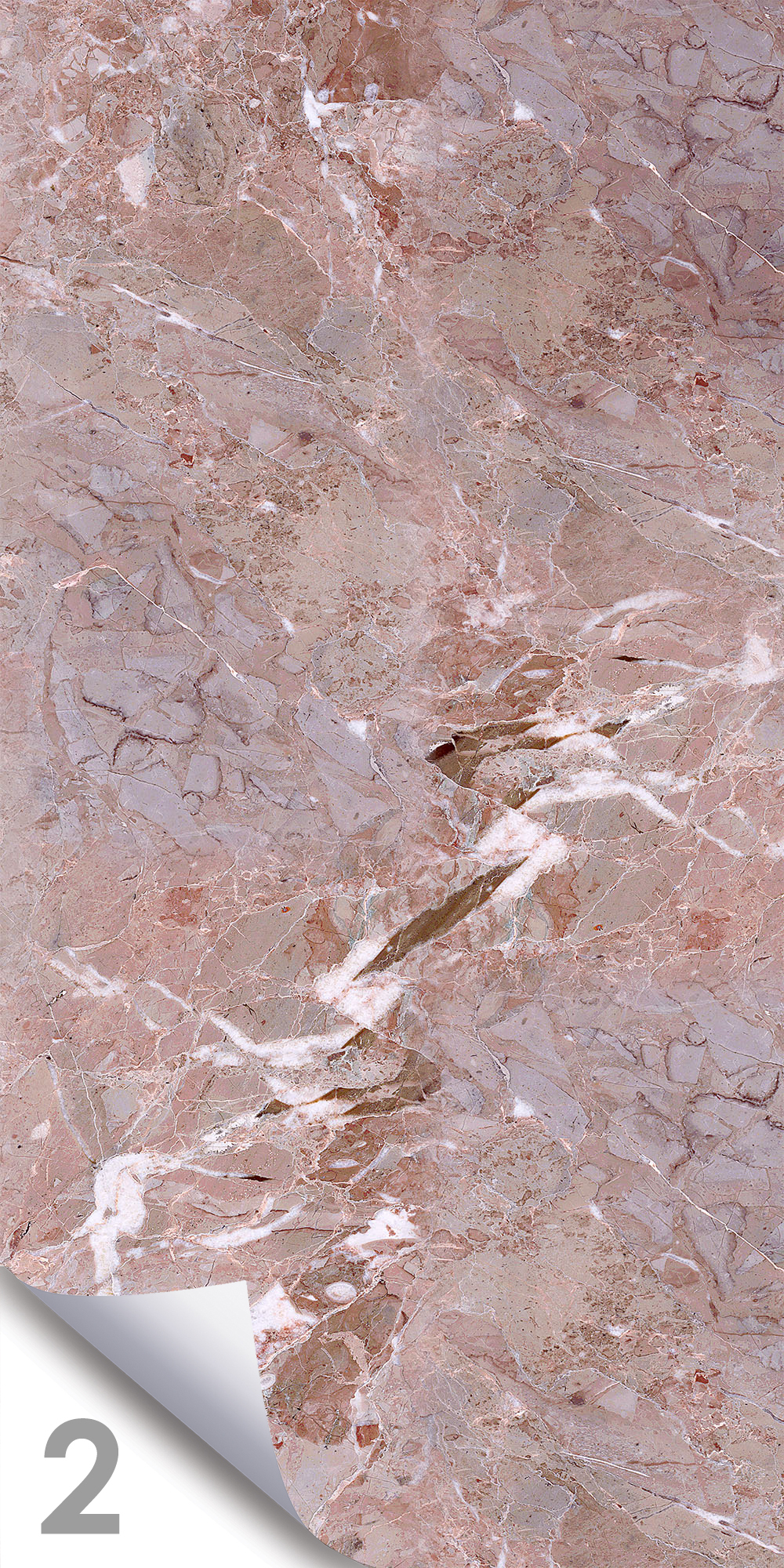 Ветка Сакуры