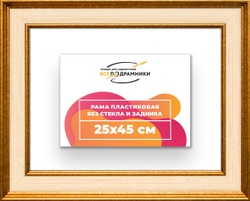 Рама 25x45 для картин и фотографий