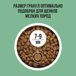 Bowl wow корм сухой для щенков мелких пород: индейка, рис, шпинат