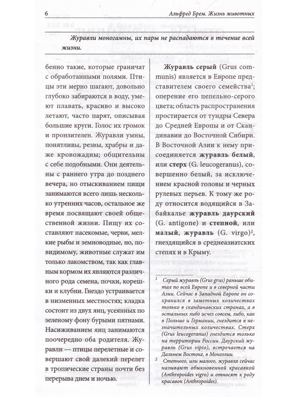 Жизнь животных. Птицы