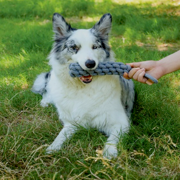 Игрушка для собак Перетяжка COTO 34 см M-Pets