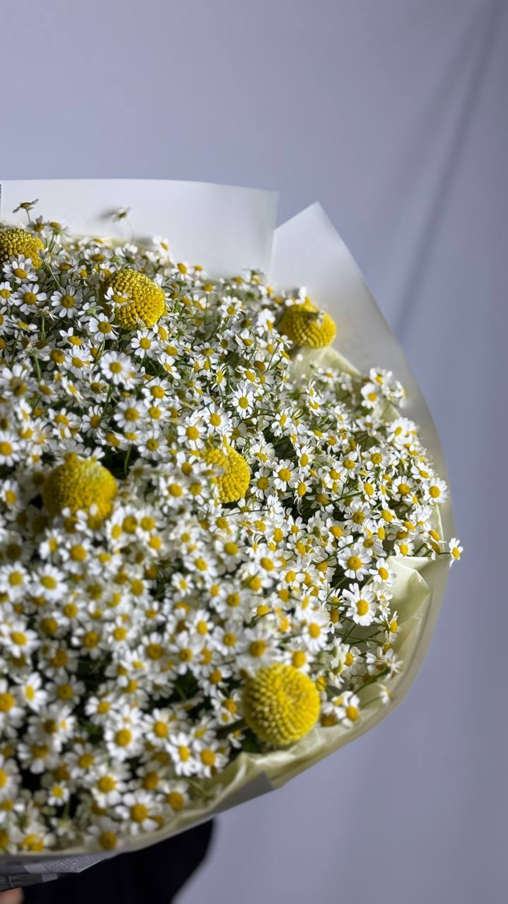 Солнце в тебе