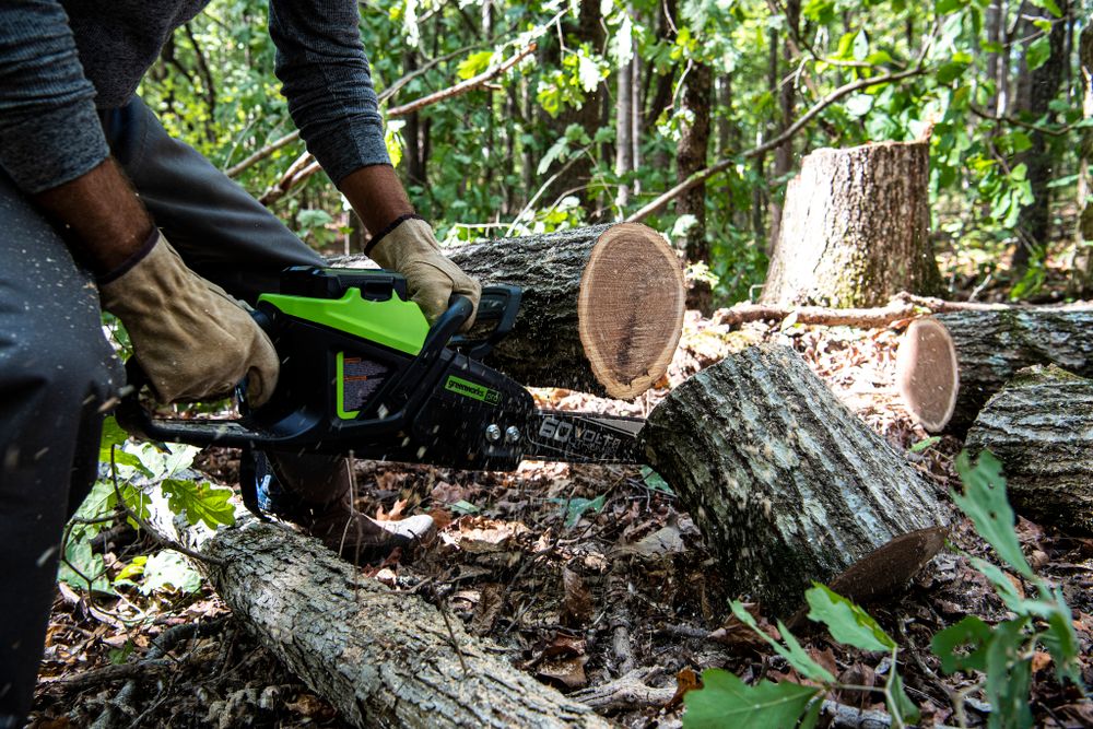 Цепная пила аккумуляторная Greenworks GD60CS25k5 Арт. 2008907U2G, 60V, 40 см, бесщеточная, 2500 Вт, с 2хАКБ 5 Ач. и ЗУ