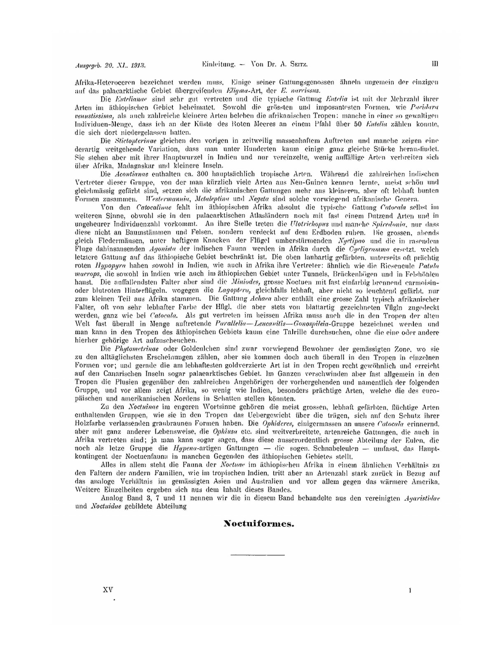Die Gross-Schmetterlinge der Erde | Adalbert Seitz
