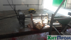 Линия ритуального убоя КРС 50 голов/смена. Ставропольский край