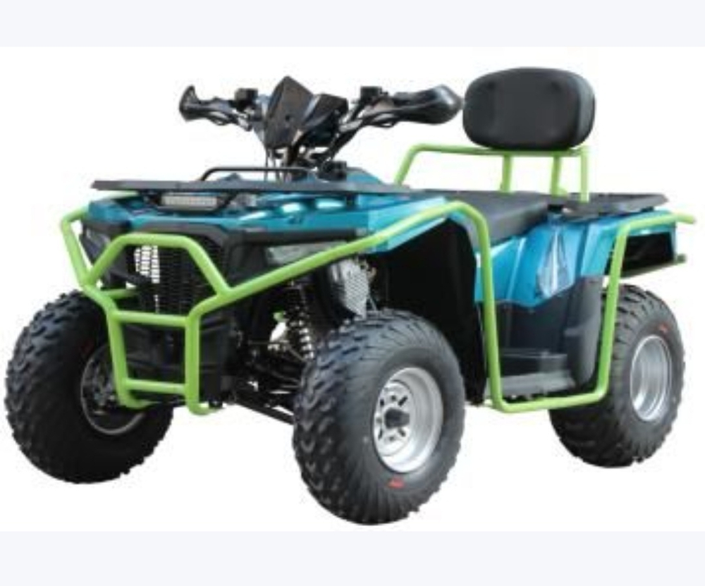 ATV AT 3004 (Bashan CVT 300)