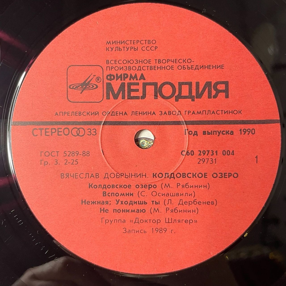 Винтажная виниловая пластинка LP Вячеслав Добрынин Колдовское Озеро (СССР 1990)