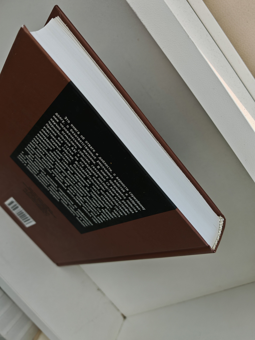 Чернобыльская катастрофа: двадцать лет спустя