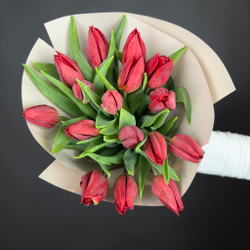 Bouquet of 15 red tulips