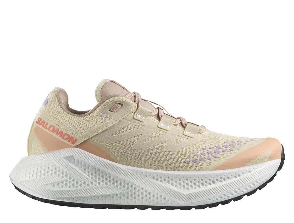Кроссовки для бега женские Salomon Aero Glide 3 GRVL Бежево-Зеленые