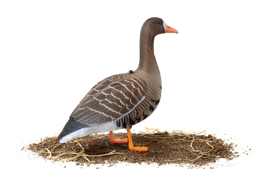 Белолобый гусь Softplast 3D мод. B10S-3D