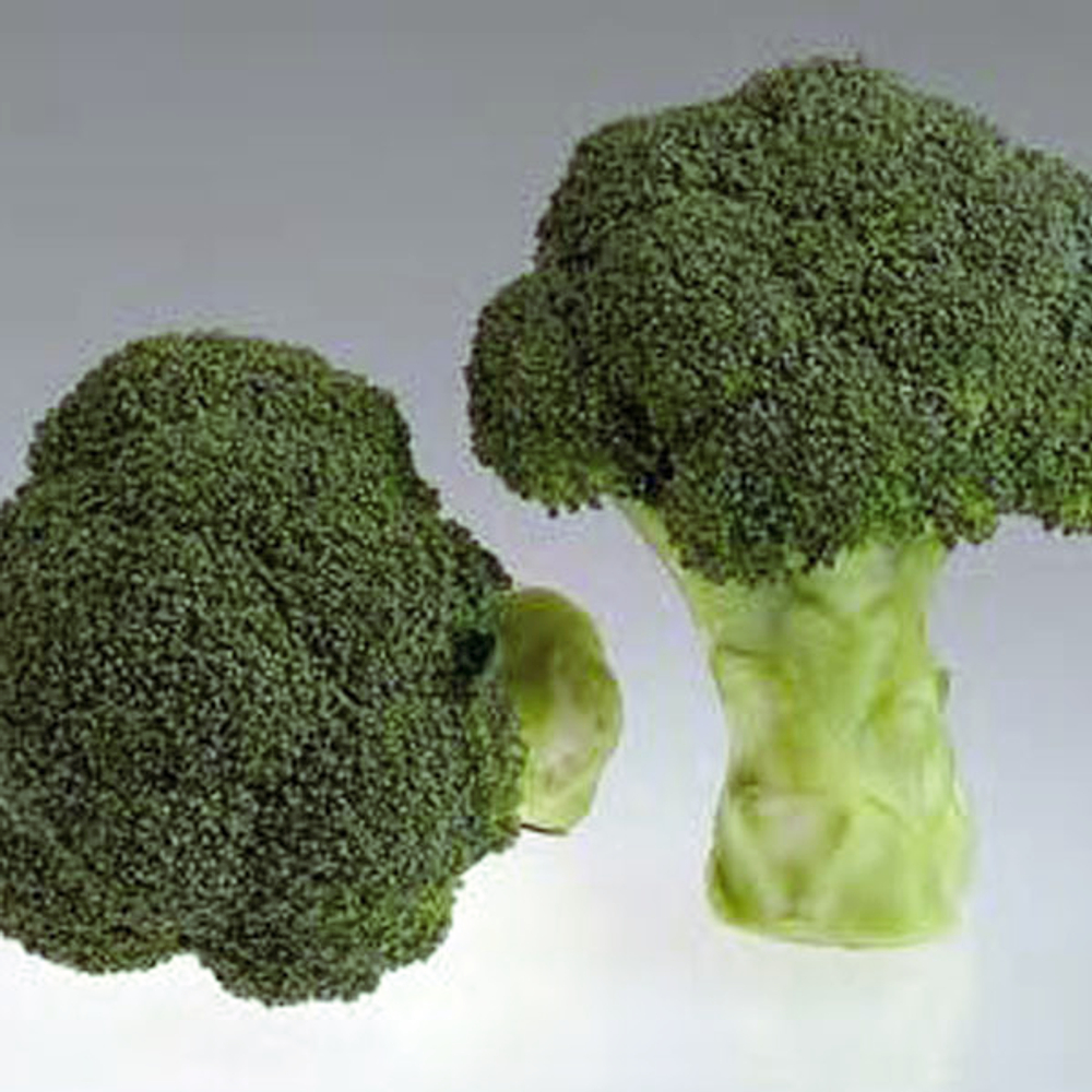 Грин Мэджик F1 семена капусты брокколи (Sakata / Саката)