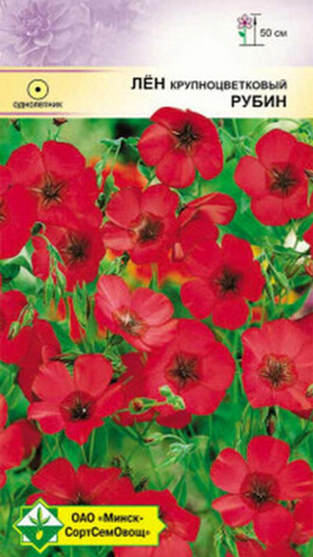 Лен крупноцветковый "Рубин" 0,5г., Германия.