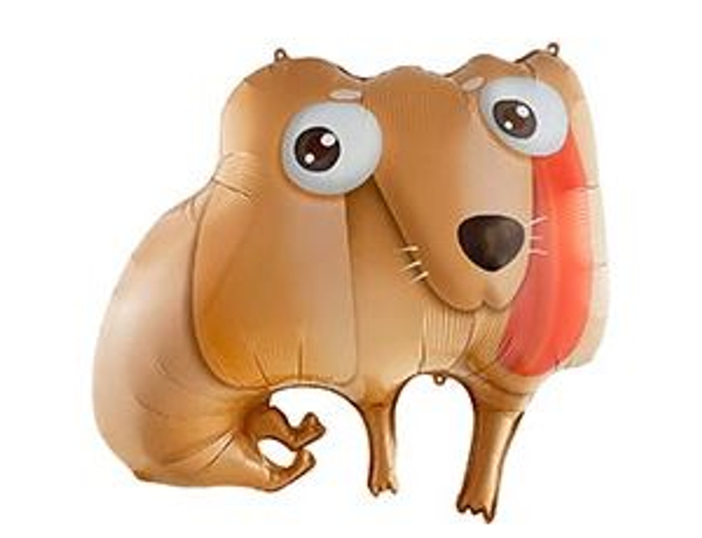 К ФИГУРА Собака глазастая