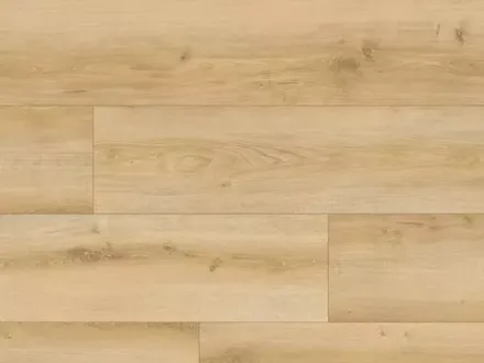 Emotions WR Дуб Филлах FSC, 2,519 м²