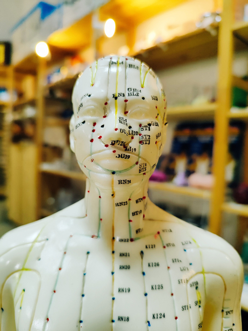 Модель человека с меридианами 50 см