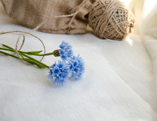 Василек из холодного фарфора. МК Анны Крахиной.