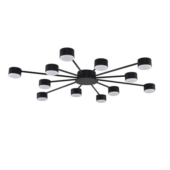 Люстра Lumion COMFI 8344/12C