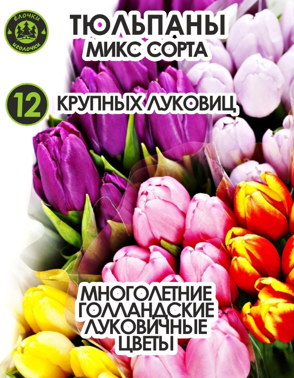 Тюльпан луковичные цветы, Микс сортов 12 шт, крупные