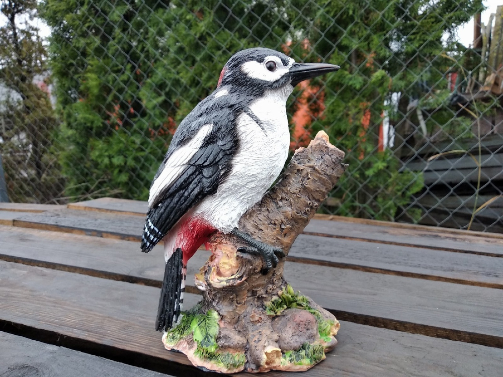 Дятел на суку