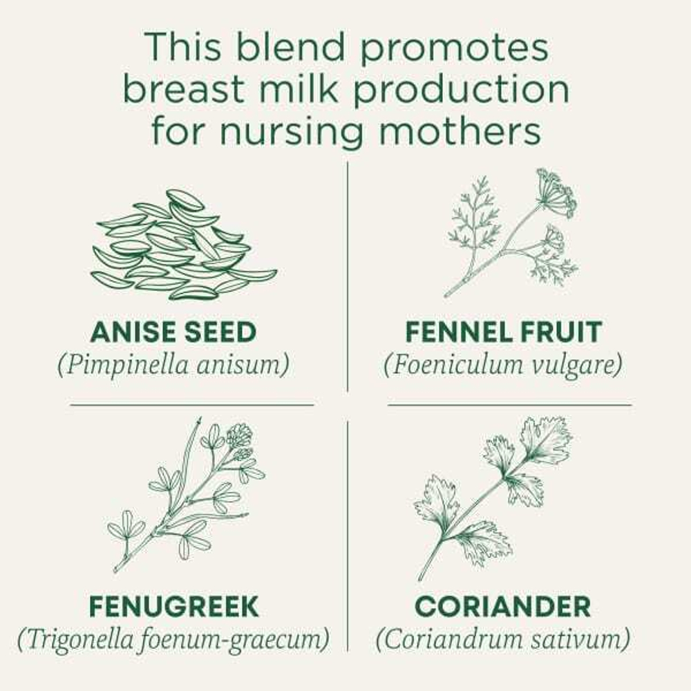 Traditional Medicinals, Organic Mother's Milk®, оригинальный продукт с фенхелем и пажитником, без кофеина, 16 чайных пакетиков в упаковке, 28 г (0,99 унции)