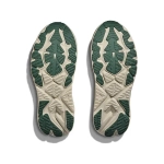 Кроссовки мужские Hoka Arahi 8